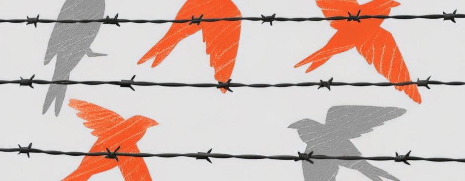 1solid-rough-silhouettes-of-birds-on-barbed-wire--s